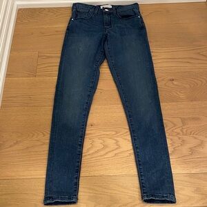 Triarchy Dark Wash Skinny Jean, Size 26
